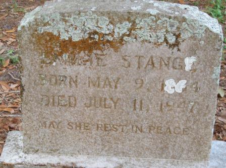 Amelia Kolaszewska Hergenrother Strange Headstone