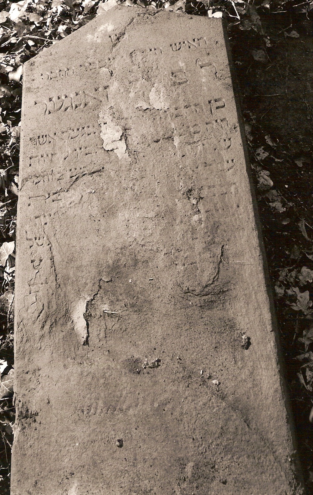 Obtained from Steinheim-Institut
Digitale Edition Bingen (1602-1968 / 878 Eintr�ge): Inv.-Nr. 0232,
URL: http://www.steinheim-institut.de/cgi-bin/epidat?function=Ins&sel=bng&inv=0232 (2010-02-20) 