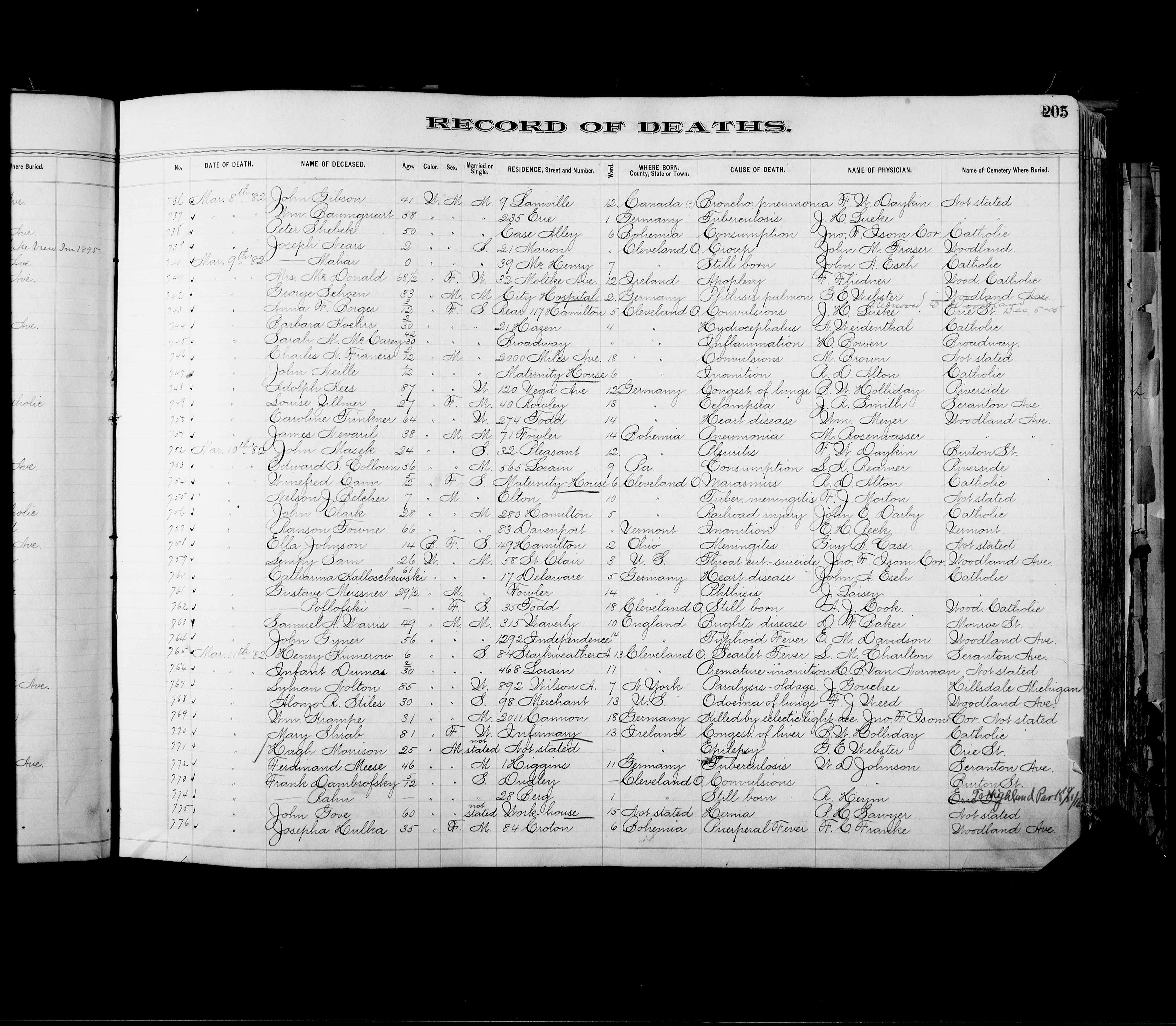 Death Record, Catherina Kalloscheski